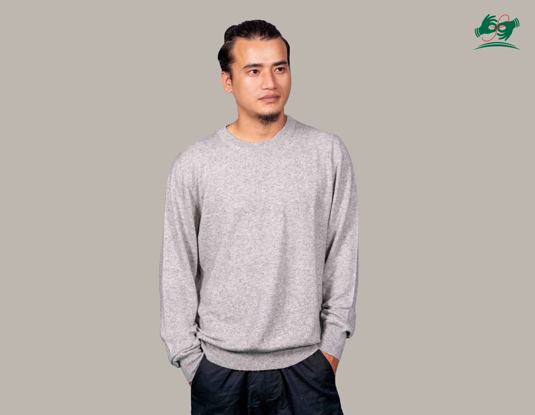 Crew Neck cashmere sweater in Oat